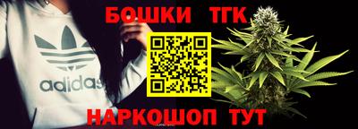 spice Дубна