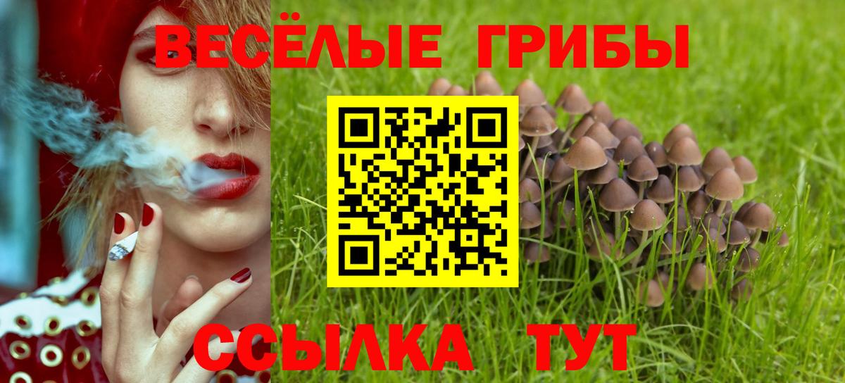 Галлюциногенные грибы GOLDEN TEACHER Краснотурьинск