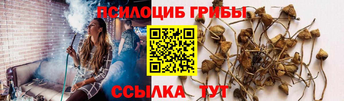 Краснотурьинск  Псилоцибиновые грибы Cubensis  Вход с VPN 